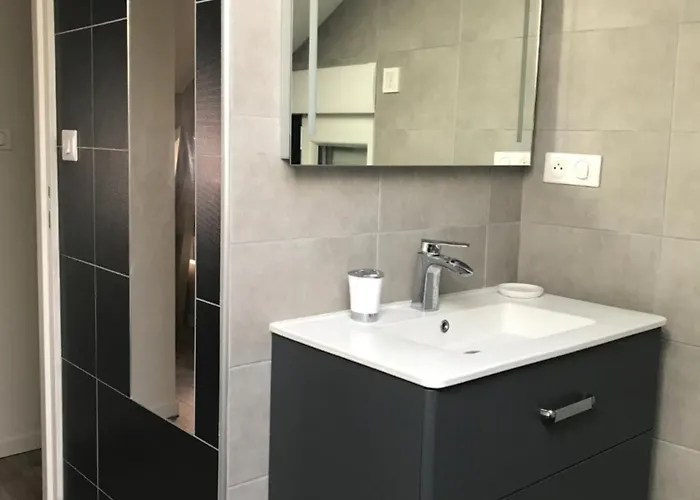 Standing Au Coeur De Ville- Argeles-gazost-140 M2-3etoiles 阿赫莱斯热莱斯加佐斯特